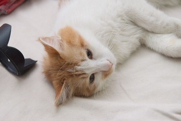 IMG_3587.jpg