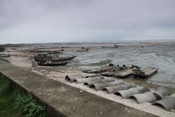 IMG_5267.jpg