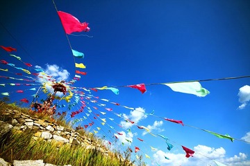 _MG_8961.jpg