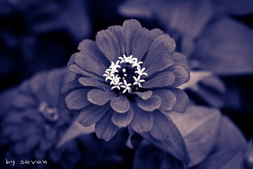 IMG_8696.jpg