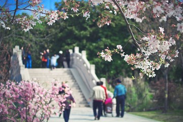 20130331-IMG_1034副本.jpg