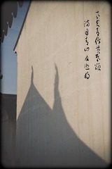 IMG_1713.jpg