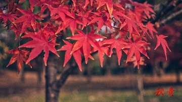 IMG_3896-编辑