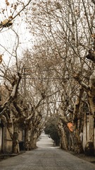 64ABEED7-204D-421F-B522-C6A75B8EEAB3/L0/001