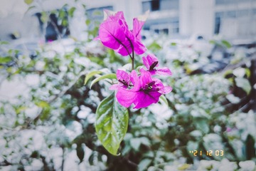 45A06CE5-BDC7-4683-9A0A-805315D30FDB/L0/001