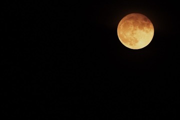 6B1BA53B-EF71-458F-BC38-F3AE84DCB671/L0/001