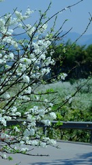 5B8D30EC-CC06-4200-A810-5E6597049CE7/L0/001