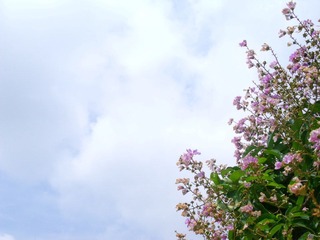 DSCF3314.JPG