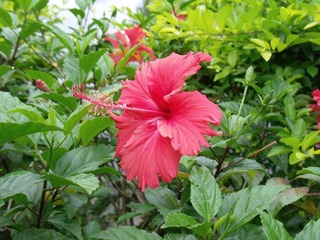 DSCF3402.jpg