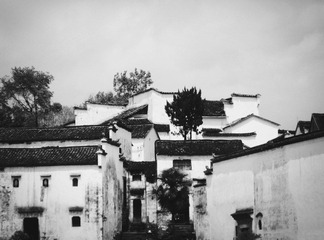 IMG_0809_副本22.jpg