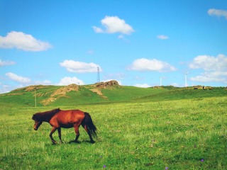dscn3872_副本C.jpg