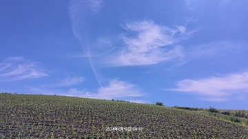 1000000911