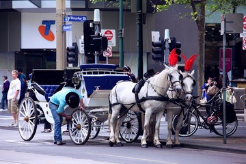 IMG_2737.jpg