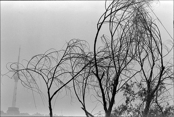 Scan-110807-0030