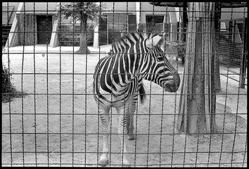 Scan-110823-0007.jpg
