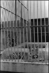 Scan-110823-0037.jpg