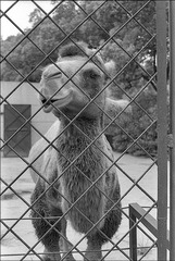 Scan-110823-0013.jpg