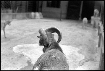 Scan-110823-0009.jpg