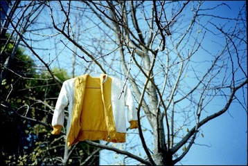 Scan-101223-0062