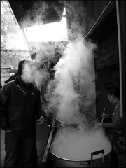帖子（半日）