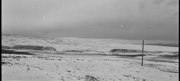 Scan-101231-0029