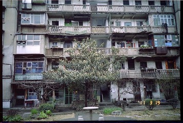 树