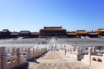 鸟