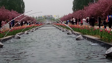 83551