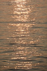 1035C0A5-9E26-4CB5-B723-394D529C5044/L0/001