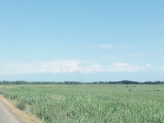 2005