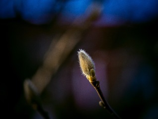 1005760