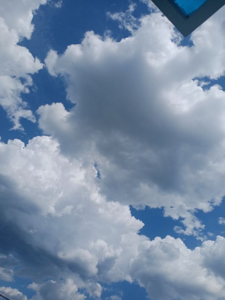 天气晴朗阳光明媚多云转晴