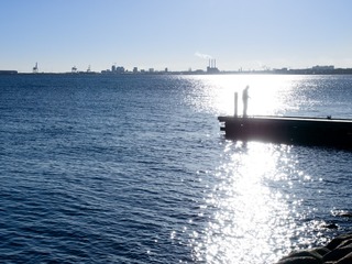 P1160264