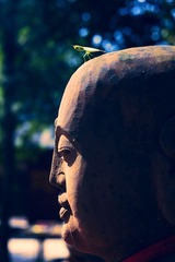 佛与螳螂