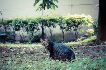 DSC04905.jpg