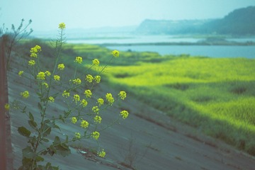 DSC00578.jpg