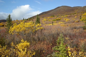 DSC_8002.jpg