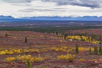 DSC_8021.jpg