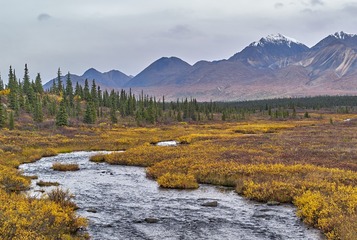 DSC_8158.jpg