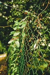 DSC_8302.jpg