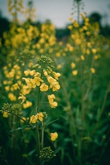 DSC05581.jpg