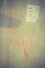 DSC06246.jpg