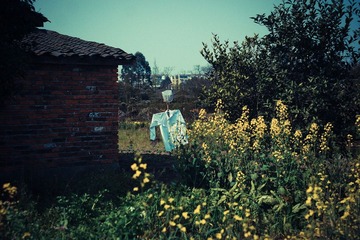 DSC06101.jpg