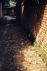 DSC06118.jpg