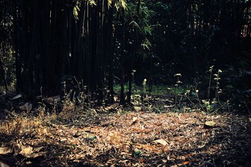 DSC06121.jpg