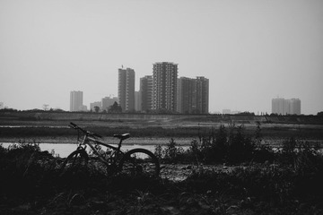 DSC06615.jpg