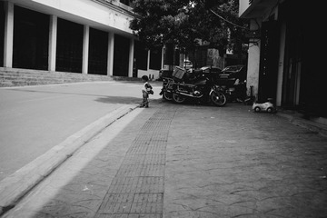 DSC06707.jpg
