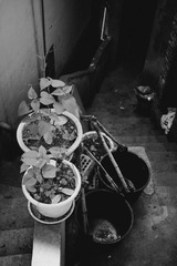 DSC06713.jpg