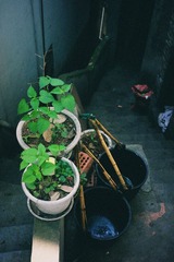 DSC067131.jpg