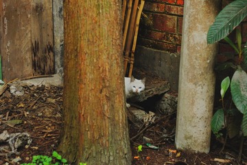 DSC06241 副本.jpg